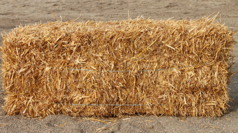 Twine Pricing 2025