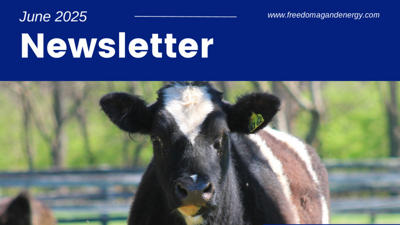 June 2025 | Newsletter