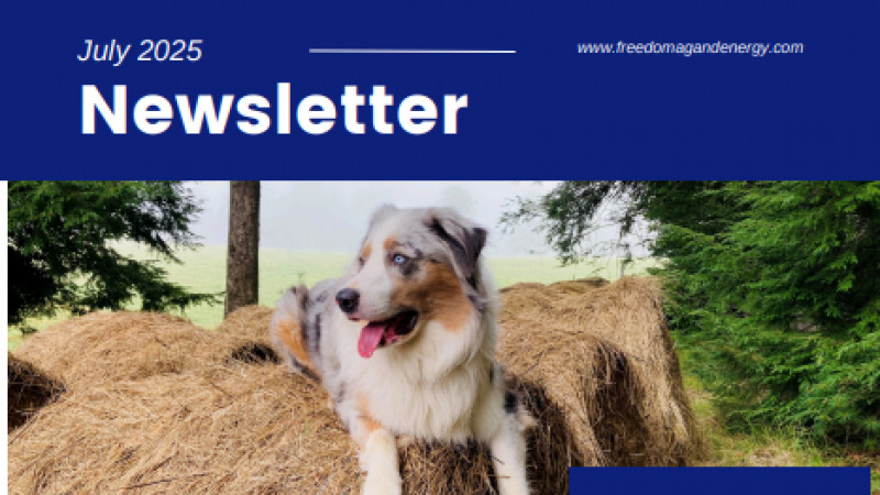 July 2025 | Newsletter