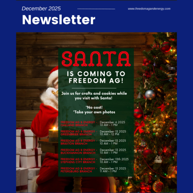 December 2025 Newsletter