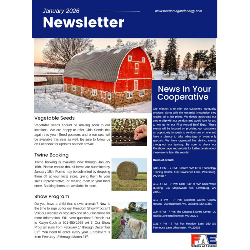 January 2026 Newsletter