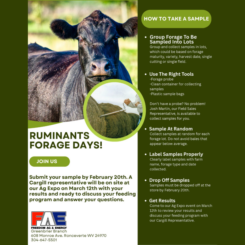 Ruminants Forage Days - Greenbrier