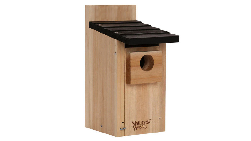 COUPON: Bluebird House Savings