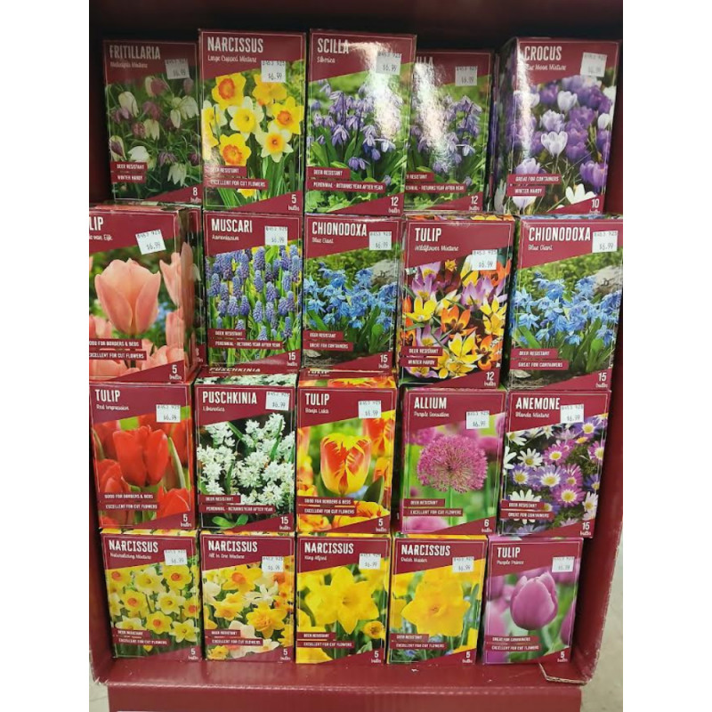COUPON: Bulbs