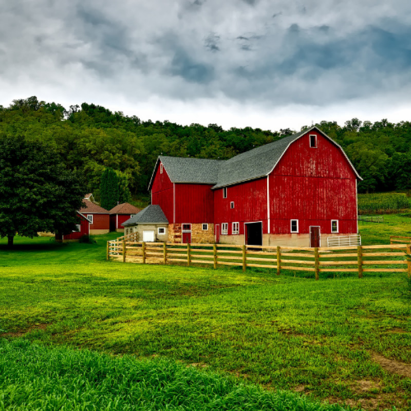 Chamber of Commerce: Down on the Farm
