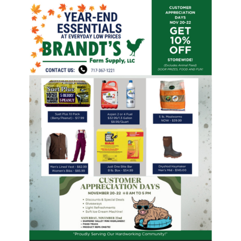 Year End Essentials & Savings