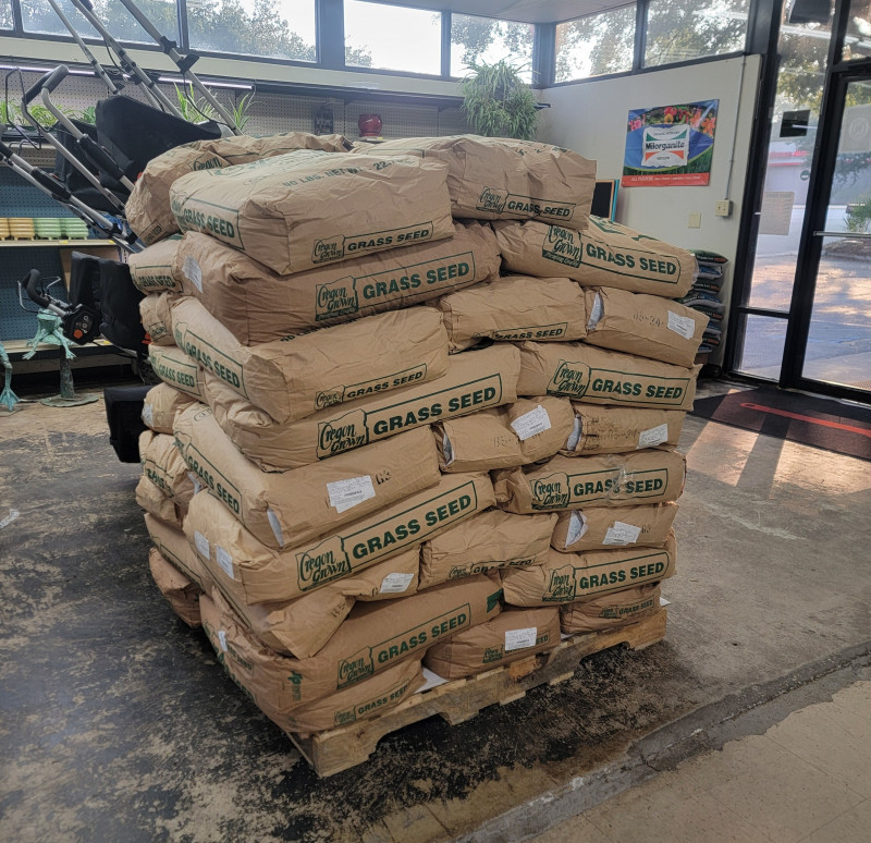 Winter Rye Grass Is Here!