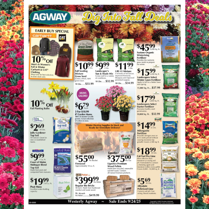 Dig Into Fall Deals