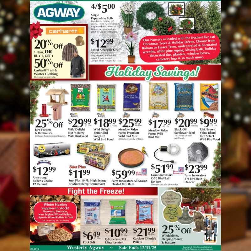 Holiday Savings Have Arrived!