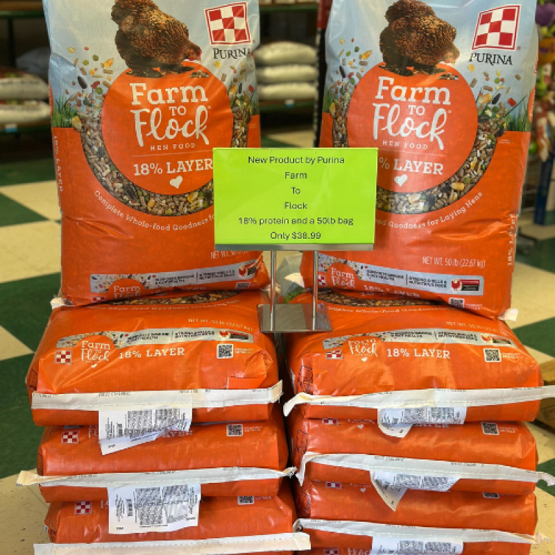Farm to Flock Hen Food 🐓