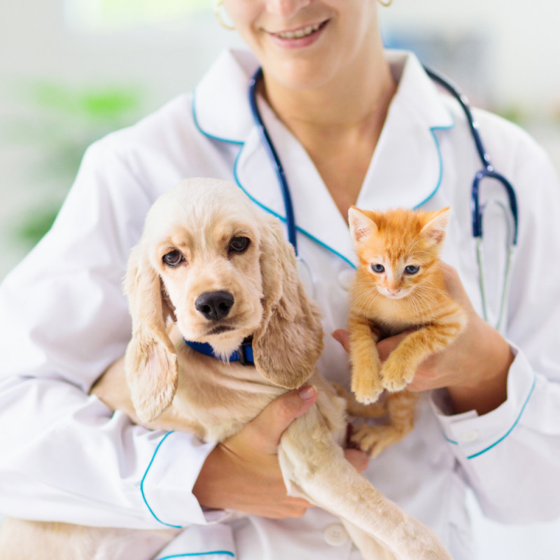 Vaccine Clinic