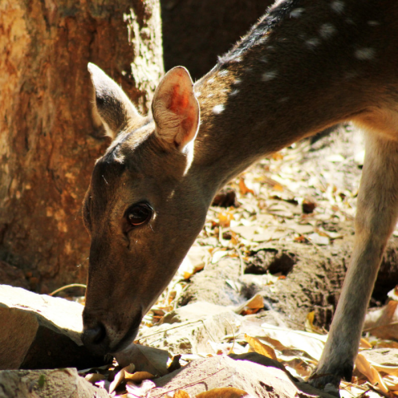 February Clearance Deal!