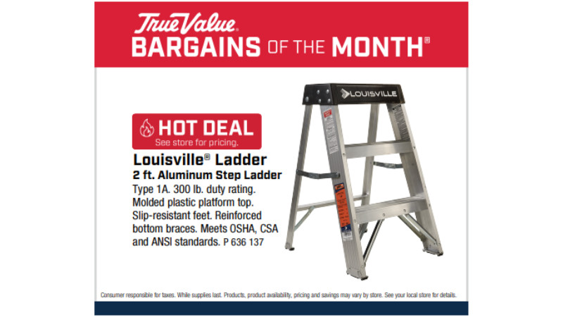 Louisville® Ladder 2 ft. Aluminum Step Ladder