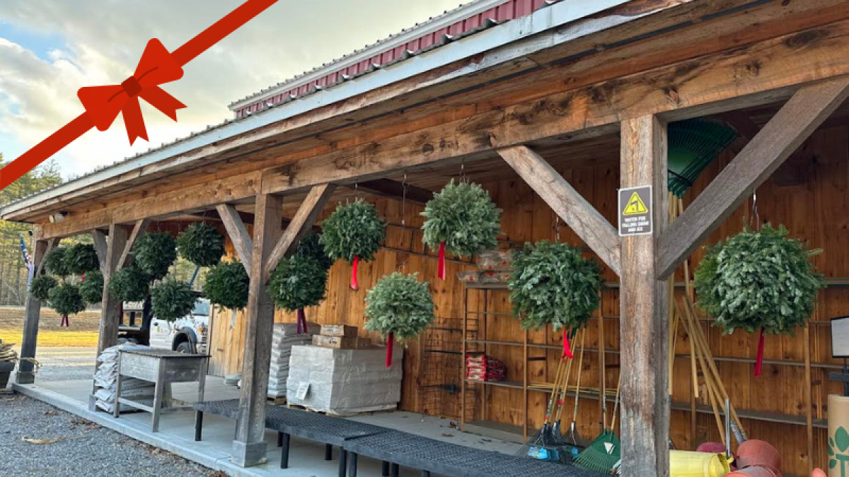 ๐โจ Deck the Halls with Local Charm! โจ๐