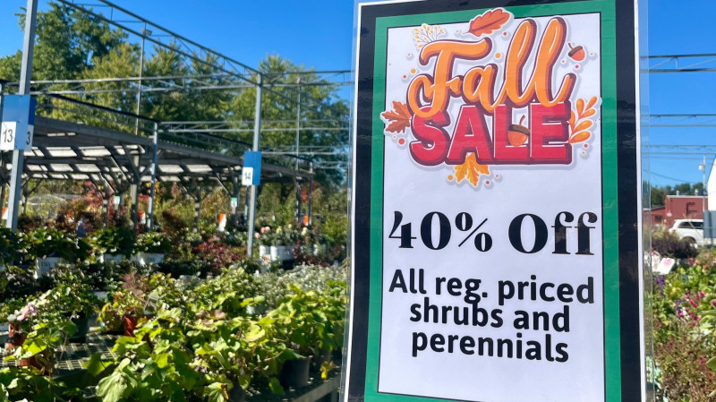 Fall Sale