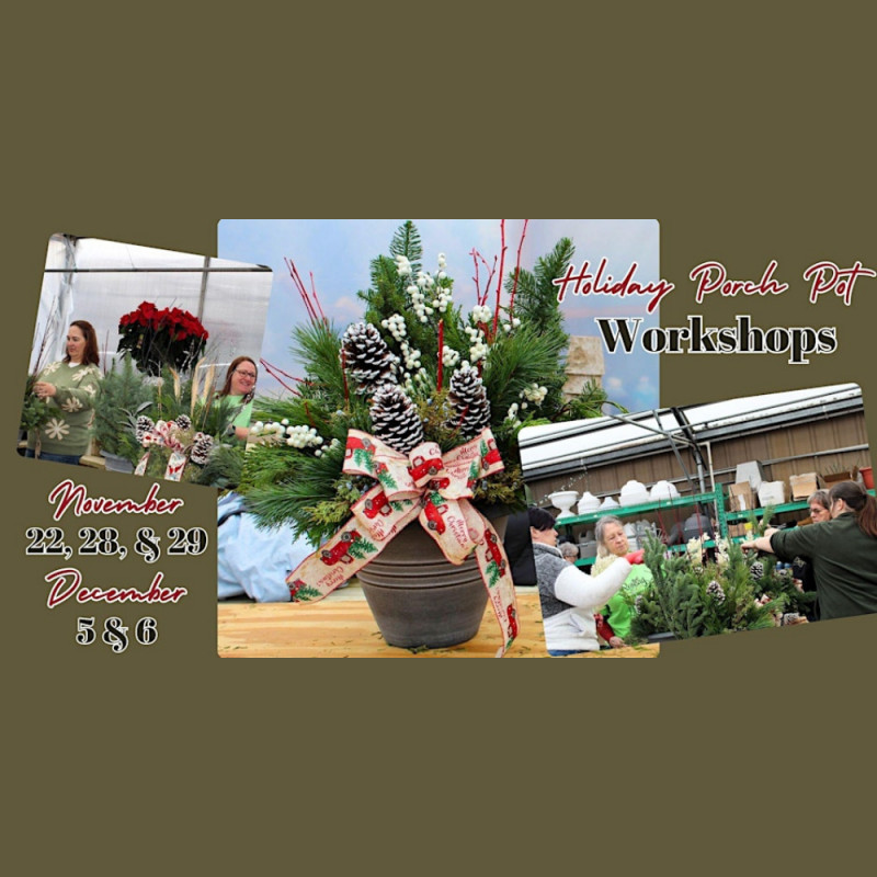 Holiday Porch Pot Workshop
