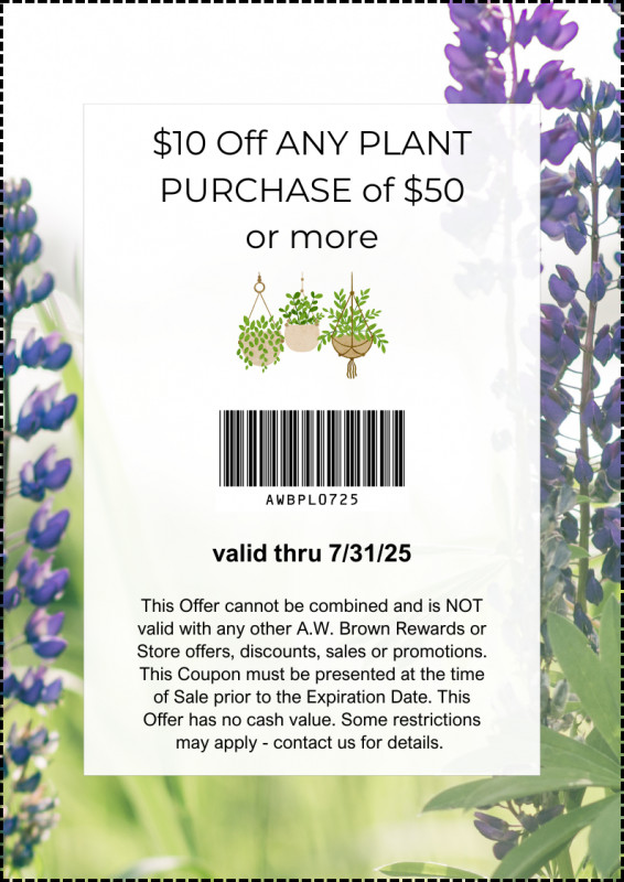 $10 Off Any Plant Purchase of $50 or more!