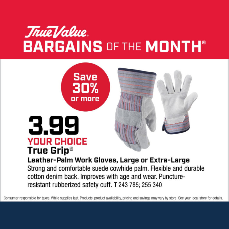 True Grip® Leather-Palm Work Gloves, Large or Extra-Large $3.99