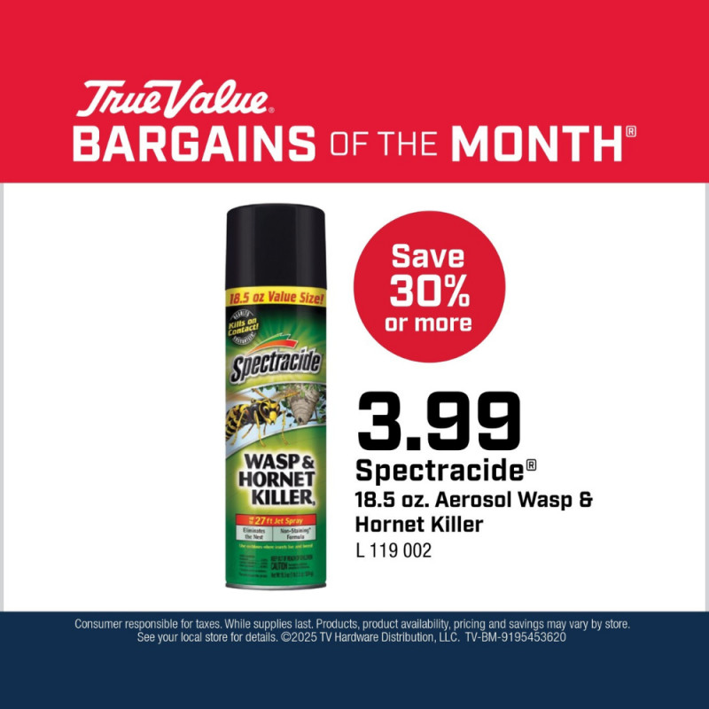 Spectracide® Aerosol Wasp & Hornet Killer $3.99