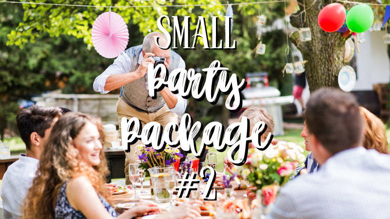 SMALL PARTY SPECIAL 2