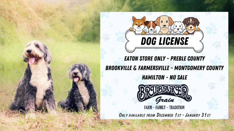 Dog Licenses