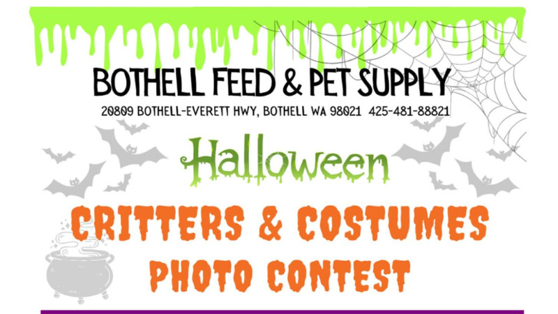 Halloween Critters & Costumes Photo Contest