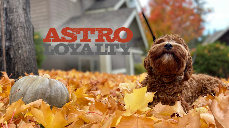 November Astro Deals