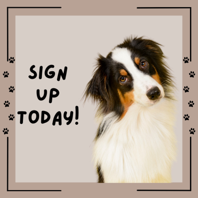 Join Our Rewards Program & Save!