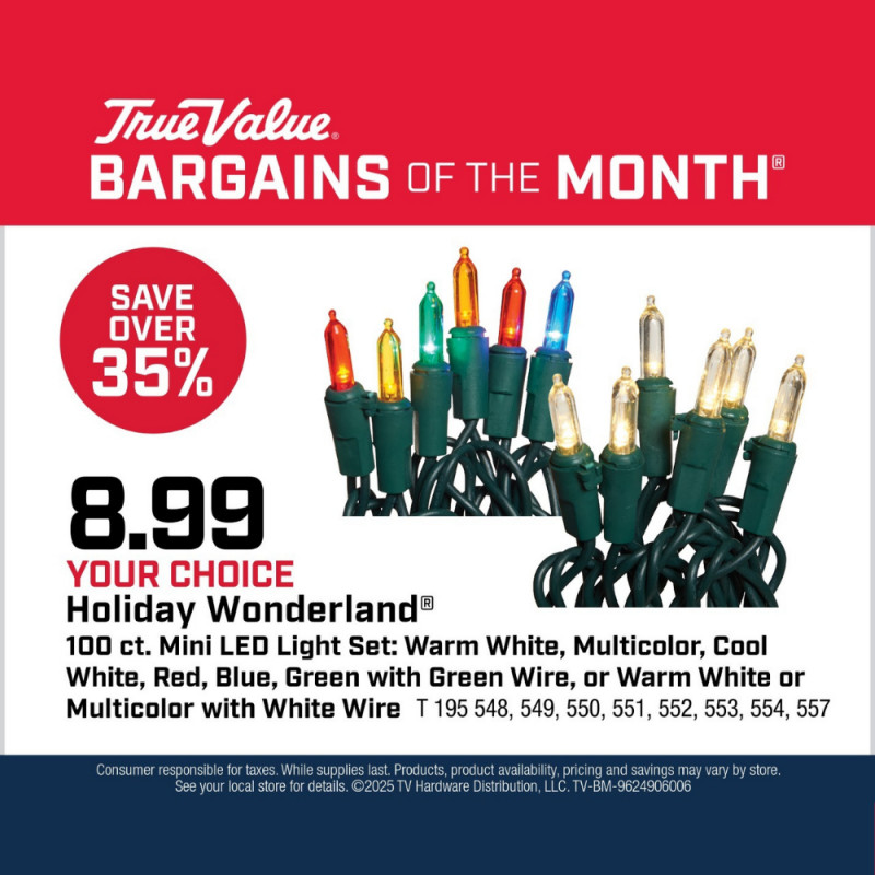 Your Choice Holiday Wonderland® 100 Count Light Sets $8.99