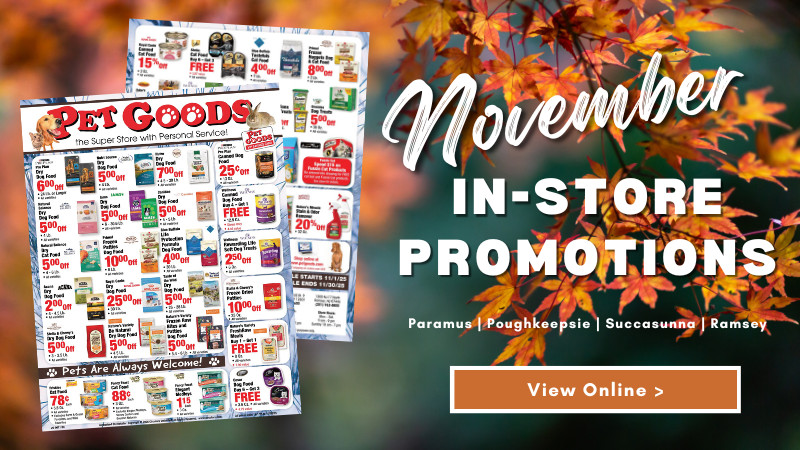 November Savings | All Locations