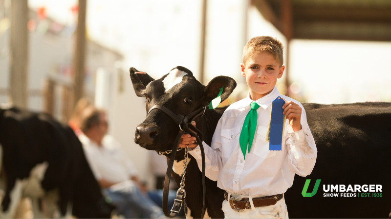 Show Feed Information Evening