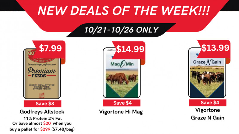 NEW Deals of the Week!!!