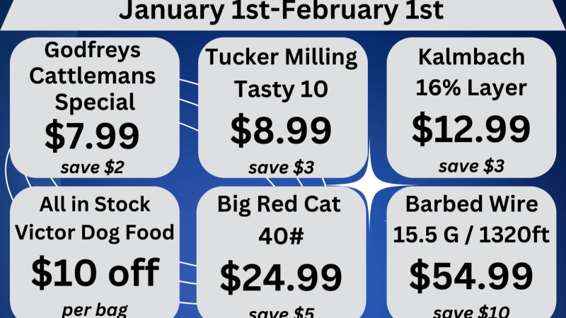 January Month Long Deals!