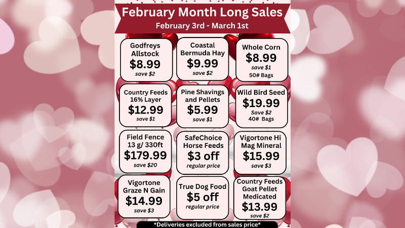 February Month Long Deals!!!