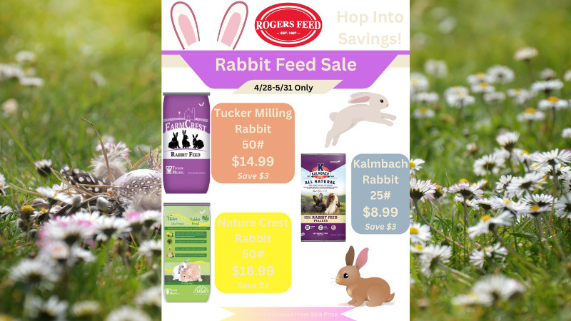 Rabbit Feed Sale