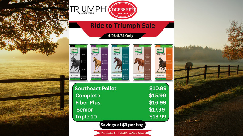 Ride to Triumph Sale