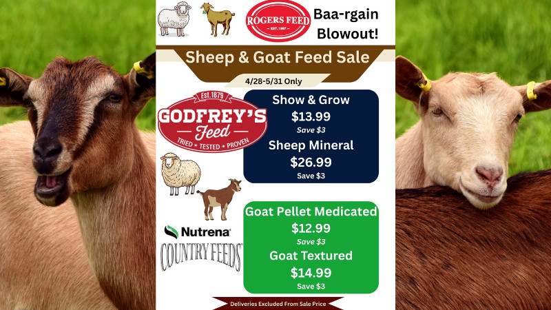 Sheep & Goat Feed Sale