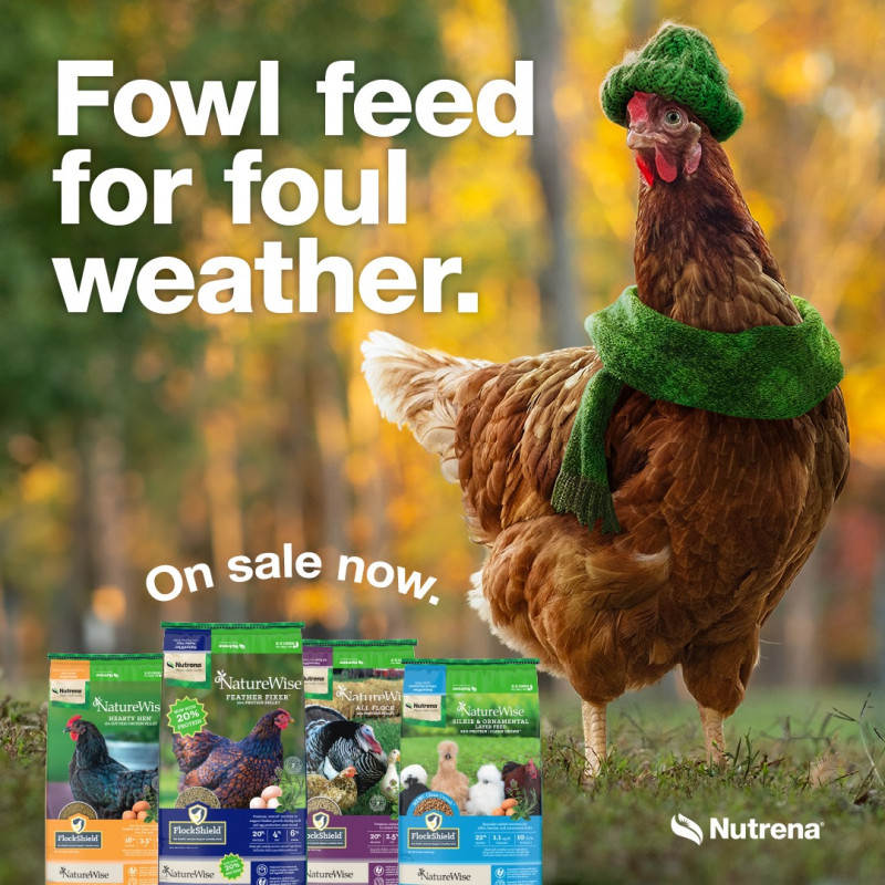 Fall Poultry Promo