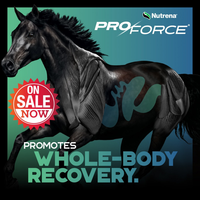 ProForce Savings