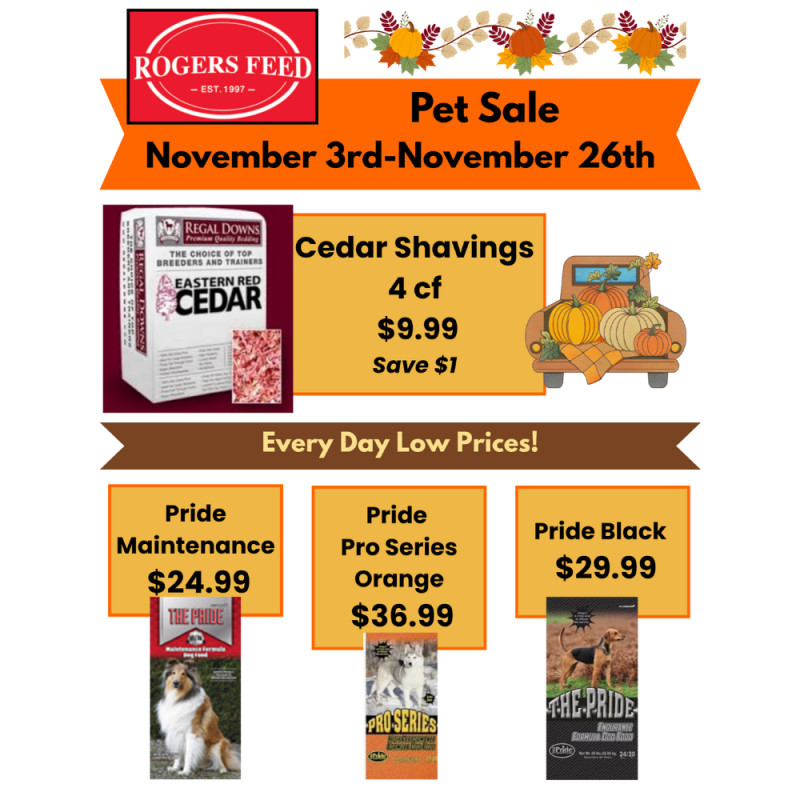 November Pet Sale