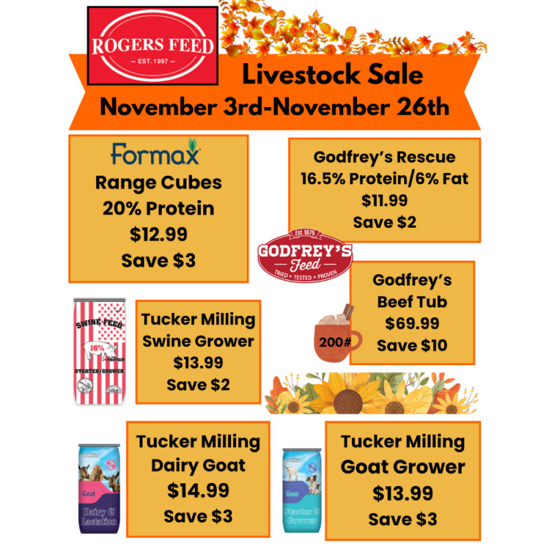 November Livestock Sale