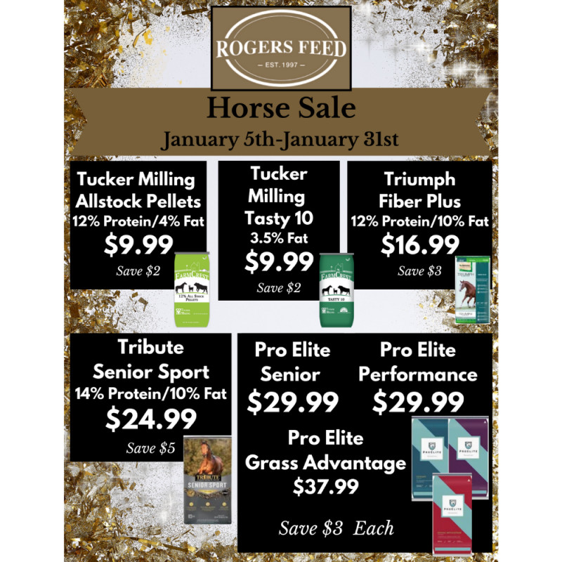 Horse Sale