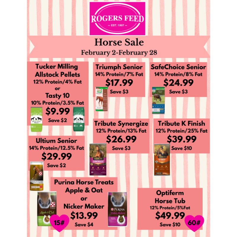 Horse Sale