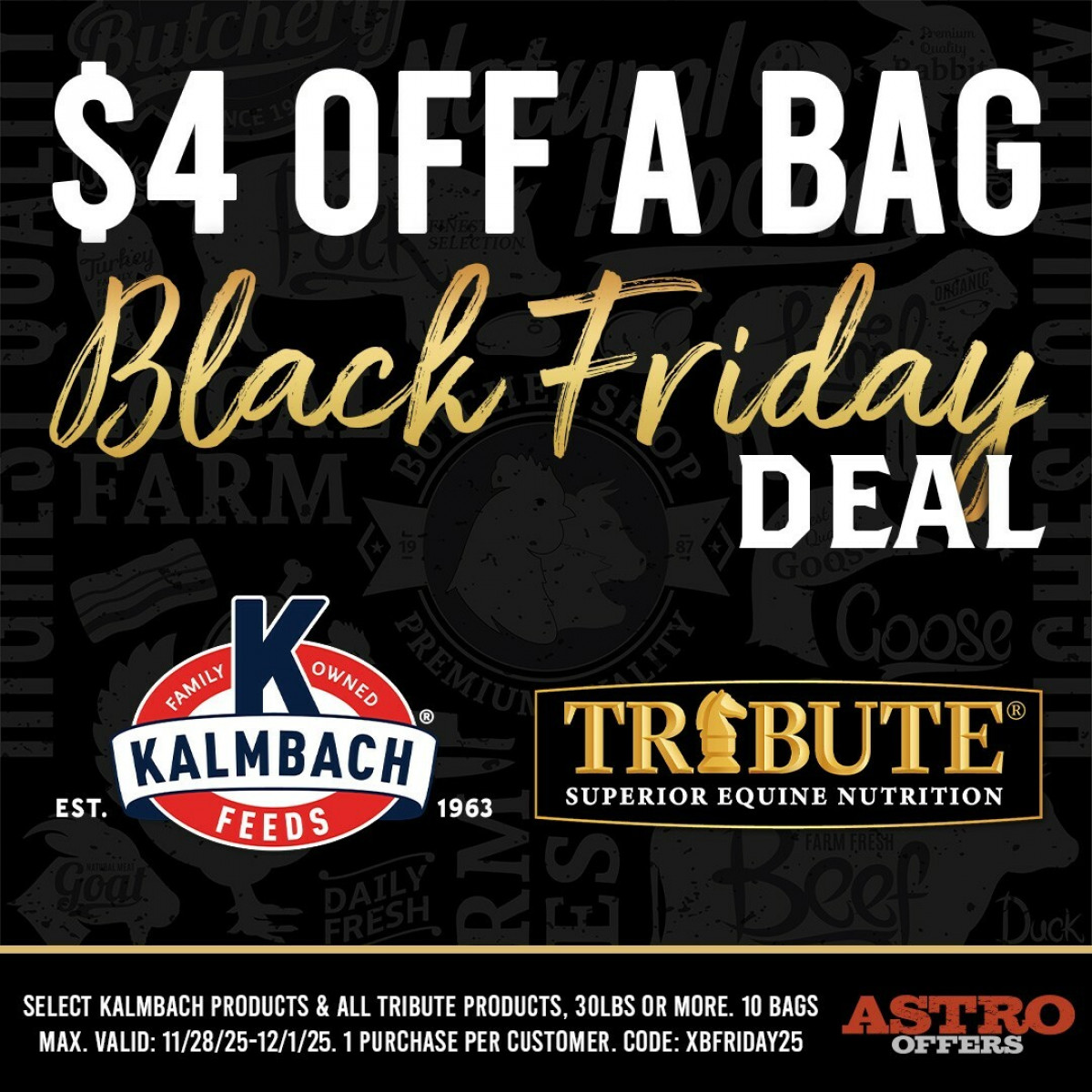 🔥 Black Friday Deals You Don’t Want to Miss! 🔥