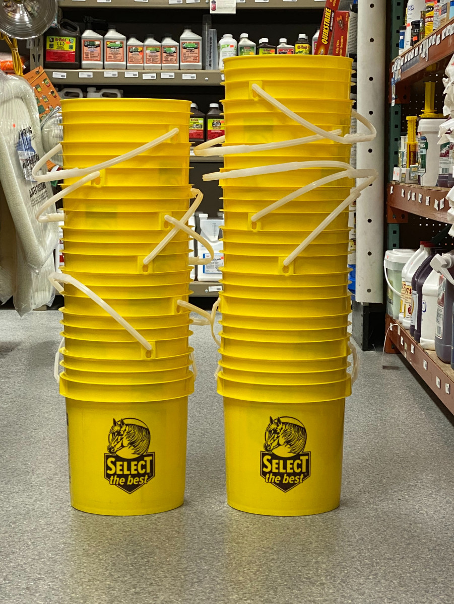 Super Saver Bucket Sale – 1 Day Only!