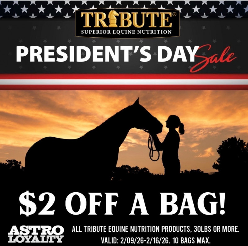 President's Day Sale