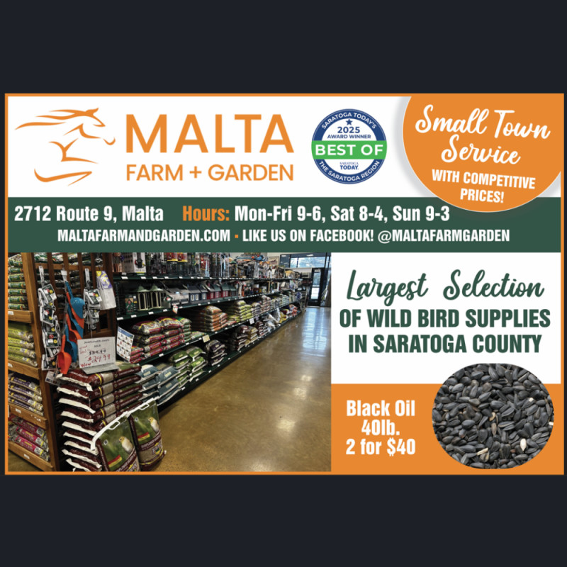 Everything Your Backyard Birds Love, All in One Place! 🐦