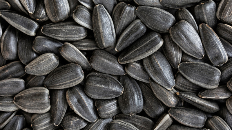 Black Oil Sunflower Seed- Now $17.99