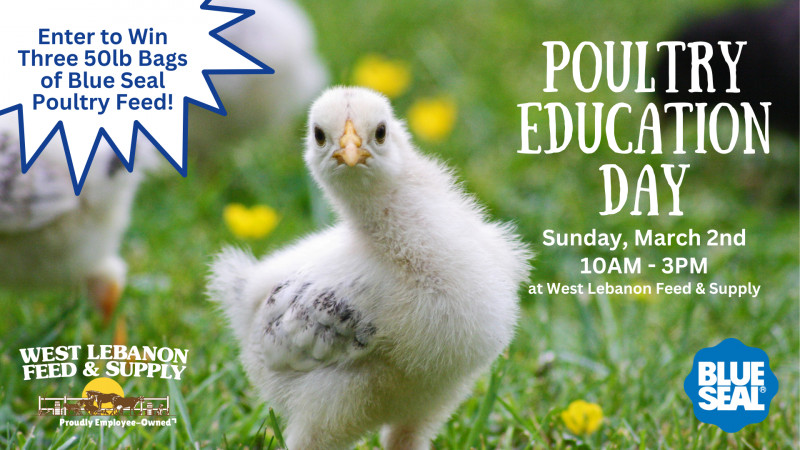 Poultry Education Day