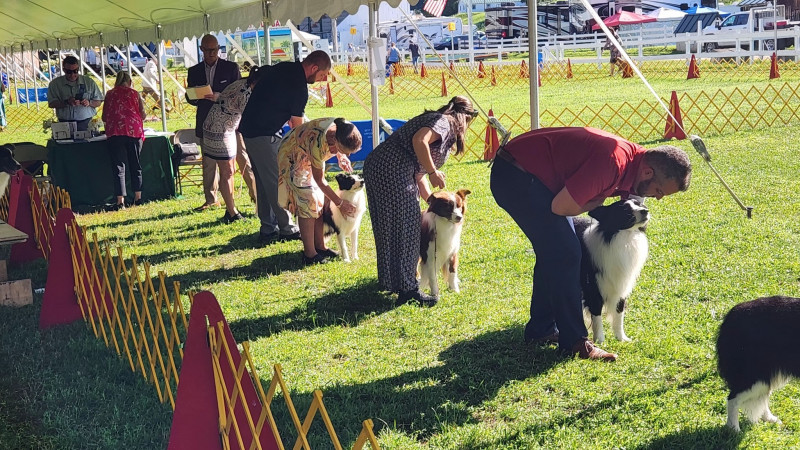 WLFS at The Vermont Scenic Circuit Dog Show